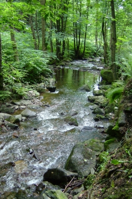 Fluss in Thüringen 01
