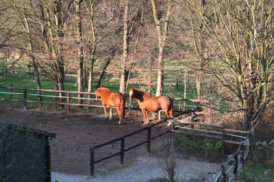 Träumen in der Wintersonne