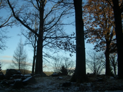 Winterliche Landschaft