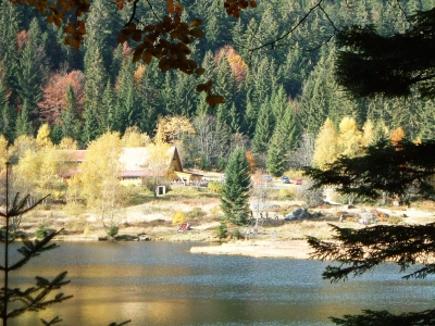 Kleiner Arbersee im Herbst