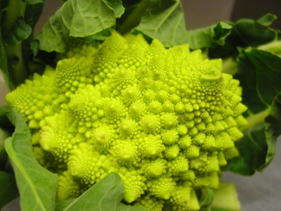 Romanesco