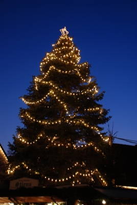 Weihnachtsbaum