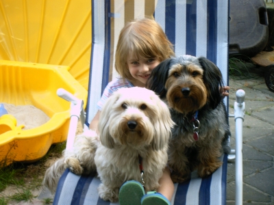 Kind mit zwei Hunden