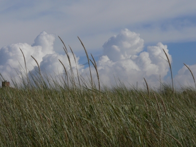 Wolken