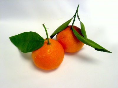 Mandarine Clementine