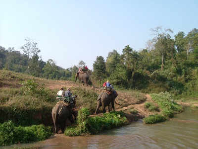 Elefanten Thailand