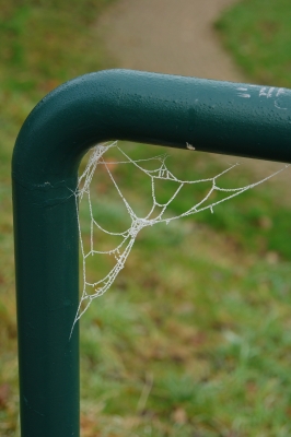 frostiges Spinnennetz
