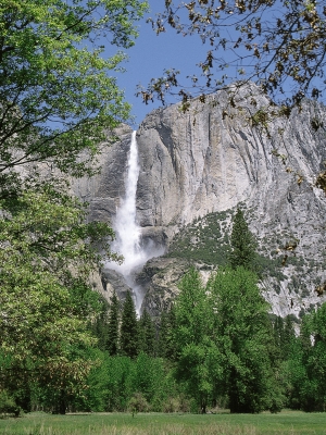 Upper Yosemite Falls from Yosemite Valley