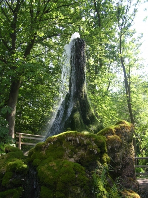 Die Quelle im Baum