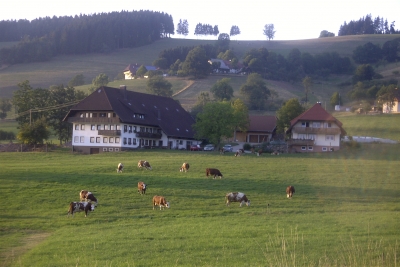 Ingritthof in Sankt-Peter Schwarzwald