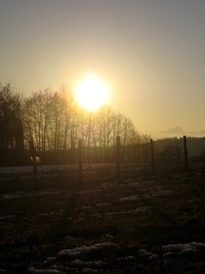 Wintersonne am Berg