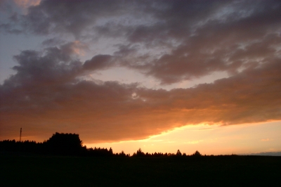 Abend im Waldviertel