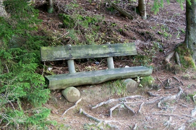 Bank im Schwarzwald (Feldberg)