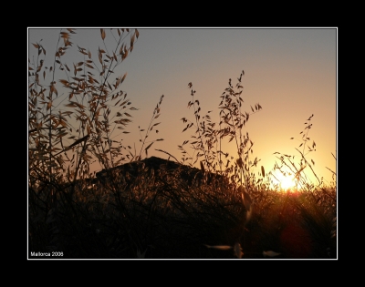 Impressionen aus Mallorca