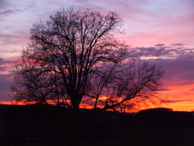 Sonnenuntergang über der Rhön