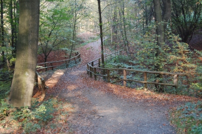 Waldspaziergang