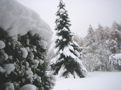 Wermelskirchen - Schneefall
