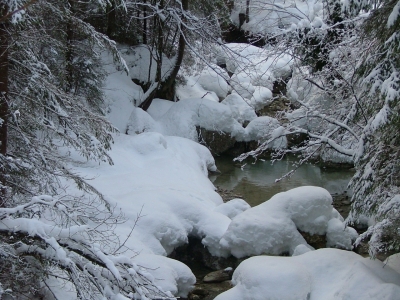 Schneelandschaft