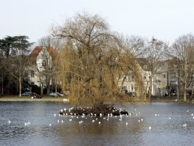 Möweninsel