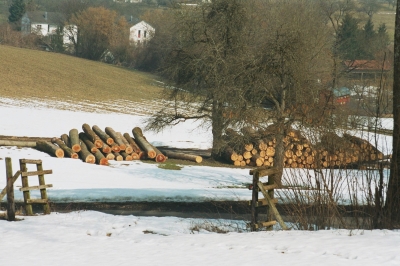 tot oder lebendig (1)