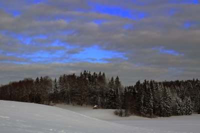 Winterwald