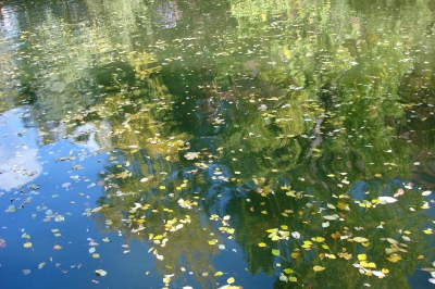 Herbstlicher Fluss