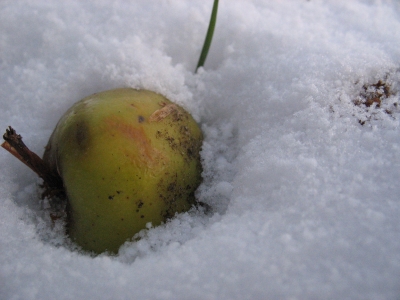 Einsam im Schnee