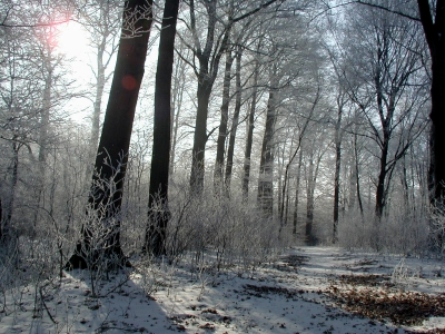 Winter in Rastenberg 02