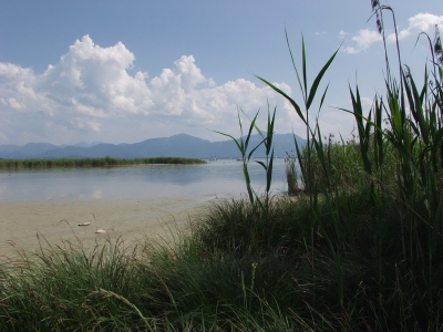 Chiemsee 1