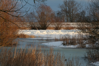 Eis auf der Oder