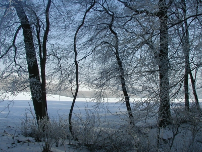Rastenberger Winter (1)