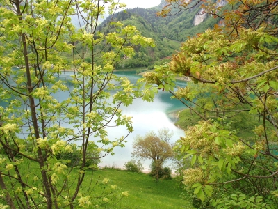 Grüner See unweit Garda