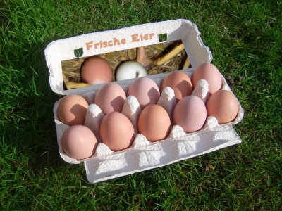 Frische Eier...