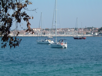 Segelboote vor Rovinj