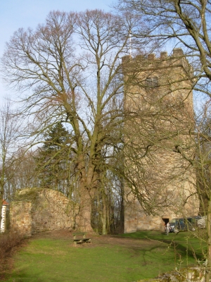 Der Wohldenberger Turm
