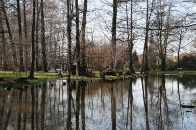 Spreewald 3