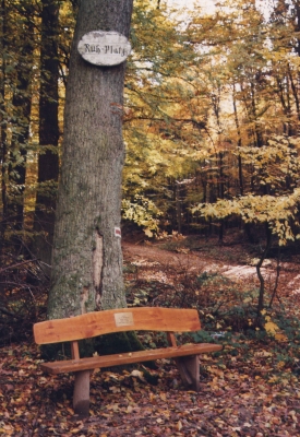 Ein Ruheplatz im Wald