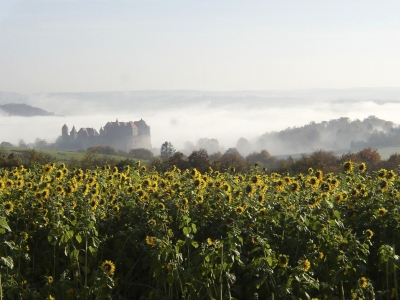 Burg mit Sonnenblumen