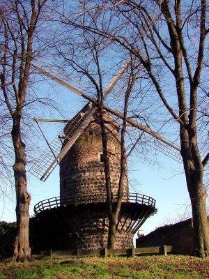 alte Windmühle zu Zons