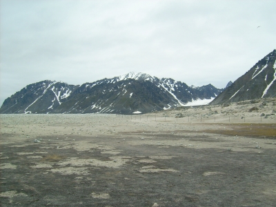 Die Gräberinsel in der Magdalenenbucht/Spitzbergen