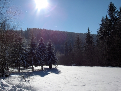 Traumhafter Winterag im Erzgebirge