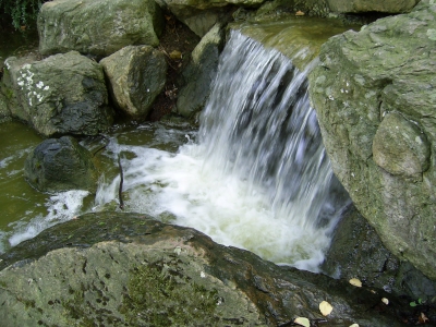 Wasser & Natur ~2~