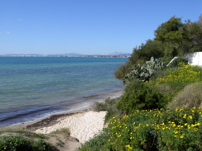 Frühling am Meer