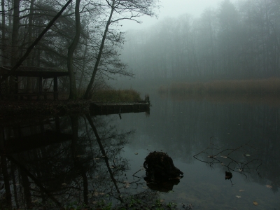 waldsee