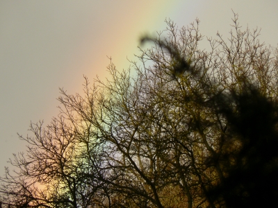 Regenbogen