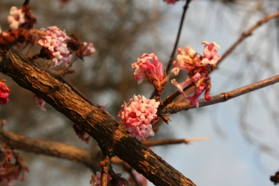 Juhu! Endlich Frühling