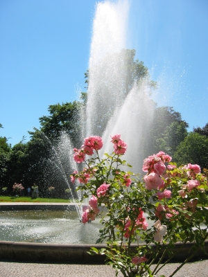 Die Flora in Köln