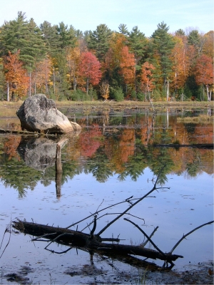 Hardy Lake Park in Kanada