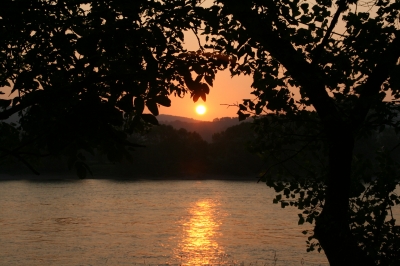 Morgensonne am Rhein