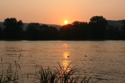 Morgensonne am Rhein 2